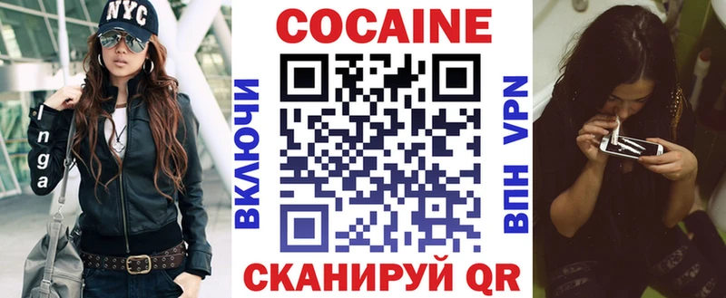 Кокаин Fish Scale  где найти наркотики  Ардатов 