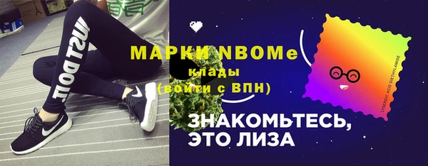 индика Покров