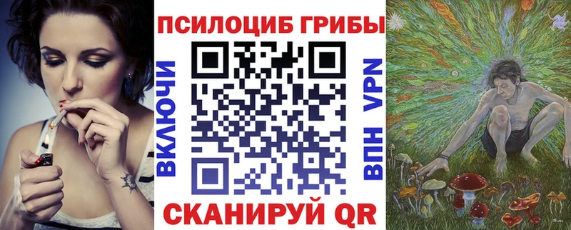нарко площадка Telegram  Ардатов  Галлюциногенные грибы Psilocybine cubensis 
